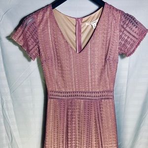 NWT Nude sheath dress w/ lace detail overlay